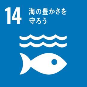 SDGsの目標14「海の豊かさを守ろう」